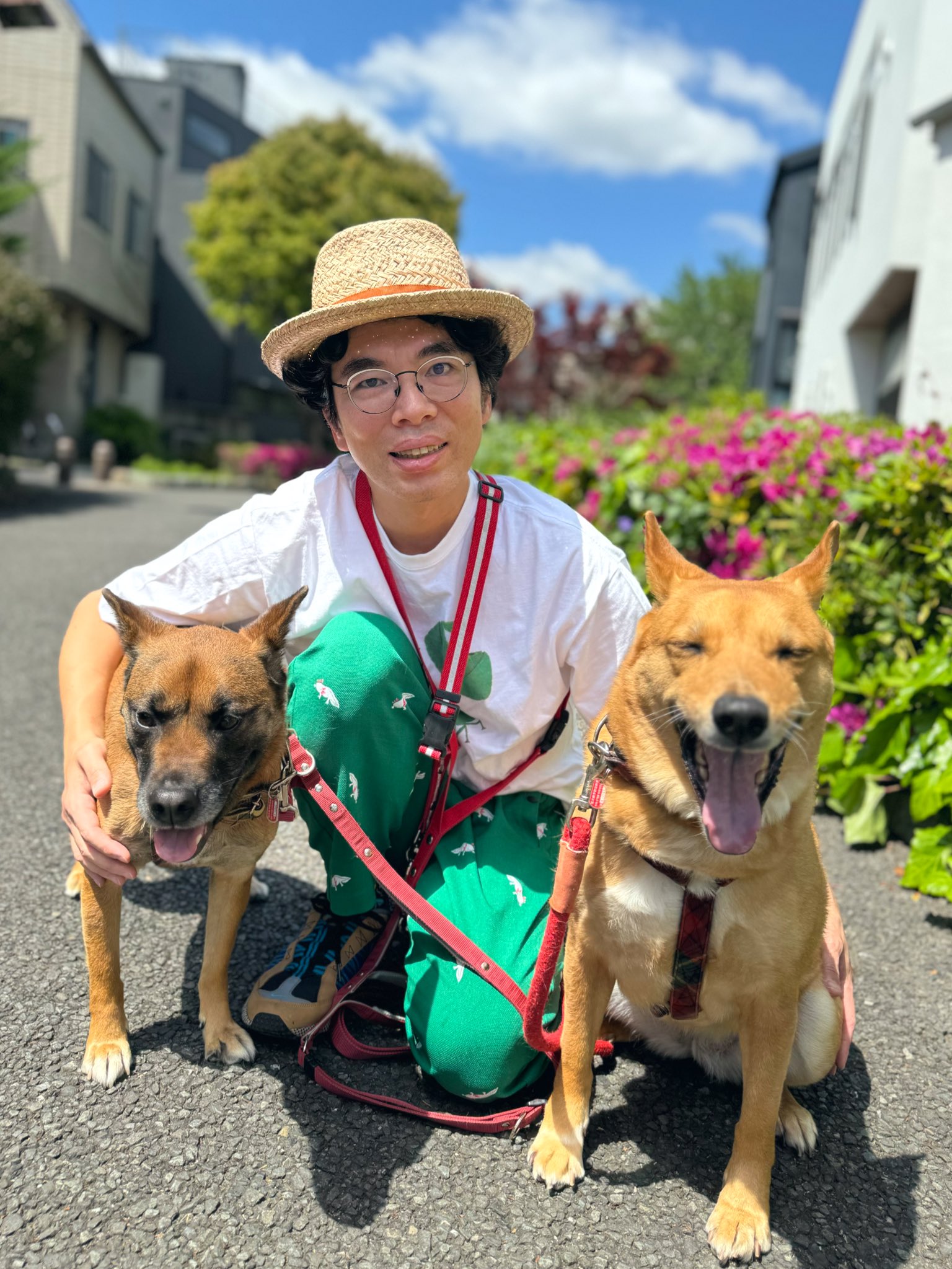 元保護犬今過保護犬 片桐仁 TOYTOYTOY デハラユキノリ GMifX5qb0AAIlPa.jpg