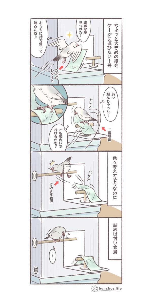 文鳥の色々考えてそうなのに詰めが甘いところが共感持てて好き
ゆるく明日に続きます
#4コマ漫画 
#文鳥 
