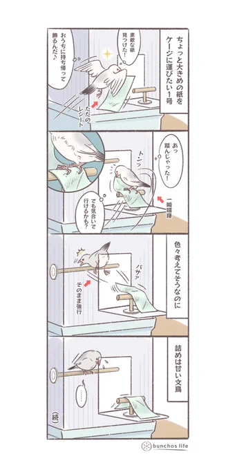 文鳥の色々考えてそうなのに詰めが甘いところが共感持てて好き
ゆるく明日に続きます
#4コマ漫画 
#文鳥 