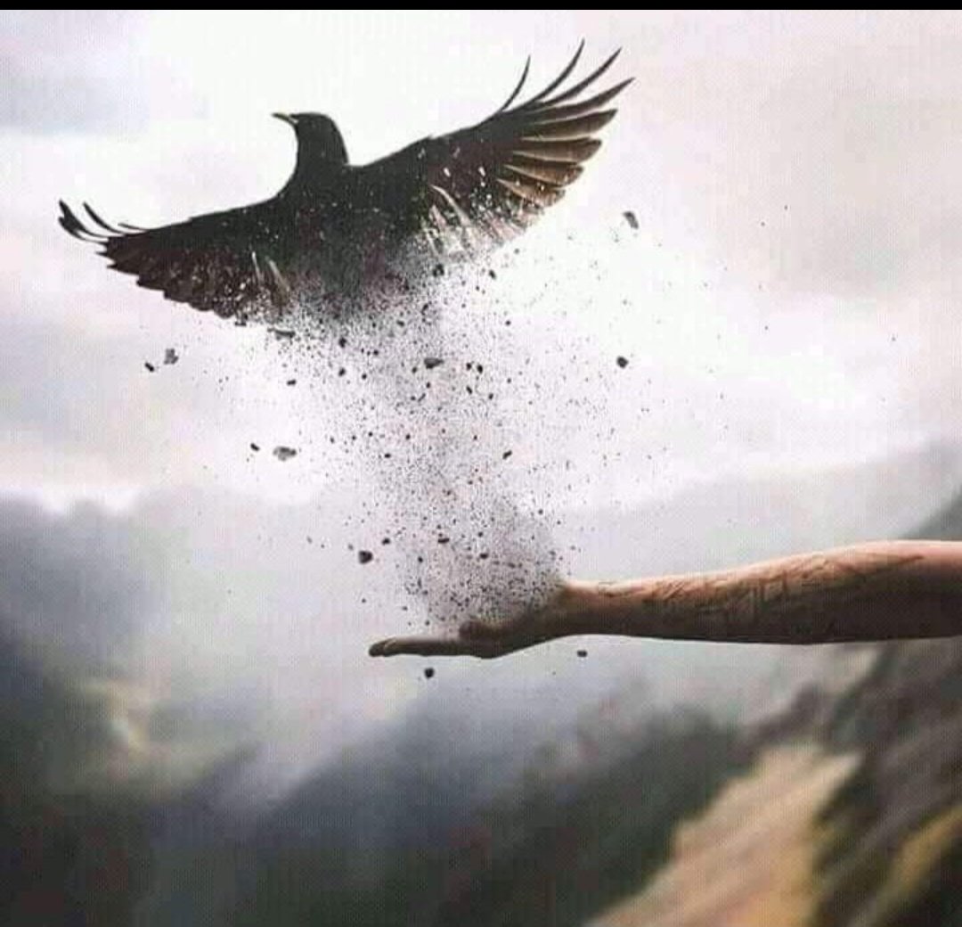 iamdolly1108's tweet photo. एक चेहरे पर रोज़ गुज़ारा होता है
प्यार किसी को कब दोबारा होता है,
मैं तुम पर हर बार भरोसा करती हूँ
इतना सच्चा झूठ तुम्हारा होता है,
तुम जाओ पर यादों को तो रहने दो
यादों का भी एक सहारा होता है,
उस पंछी का हाल किसने समझा है
जो पिंजरे में क़ैद दोबारा होता है...✍️
#Dolly....💕 https://t.co/Cg8qvvEGUX