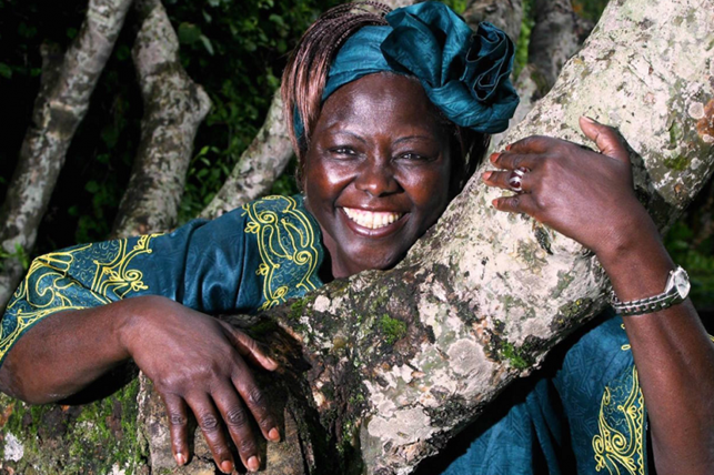 Celebrating Wangari Maathai, Nobel laureate and inspiring grandmother. She founded Kenya's Green Belt Movement, planting 51M+ trees and empowering communities. Her legacy? A greener world for future generations. 🌍✨ #InspiringGrandmothers2024  #WangariMaathai  #EnvironmentalHer