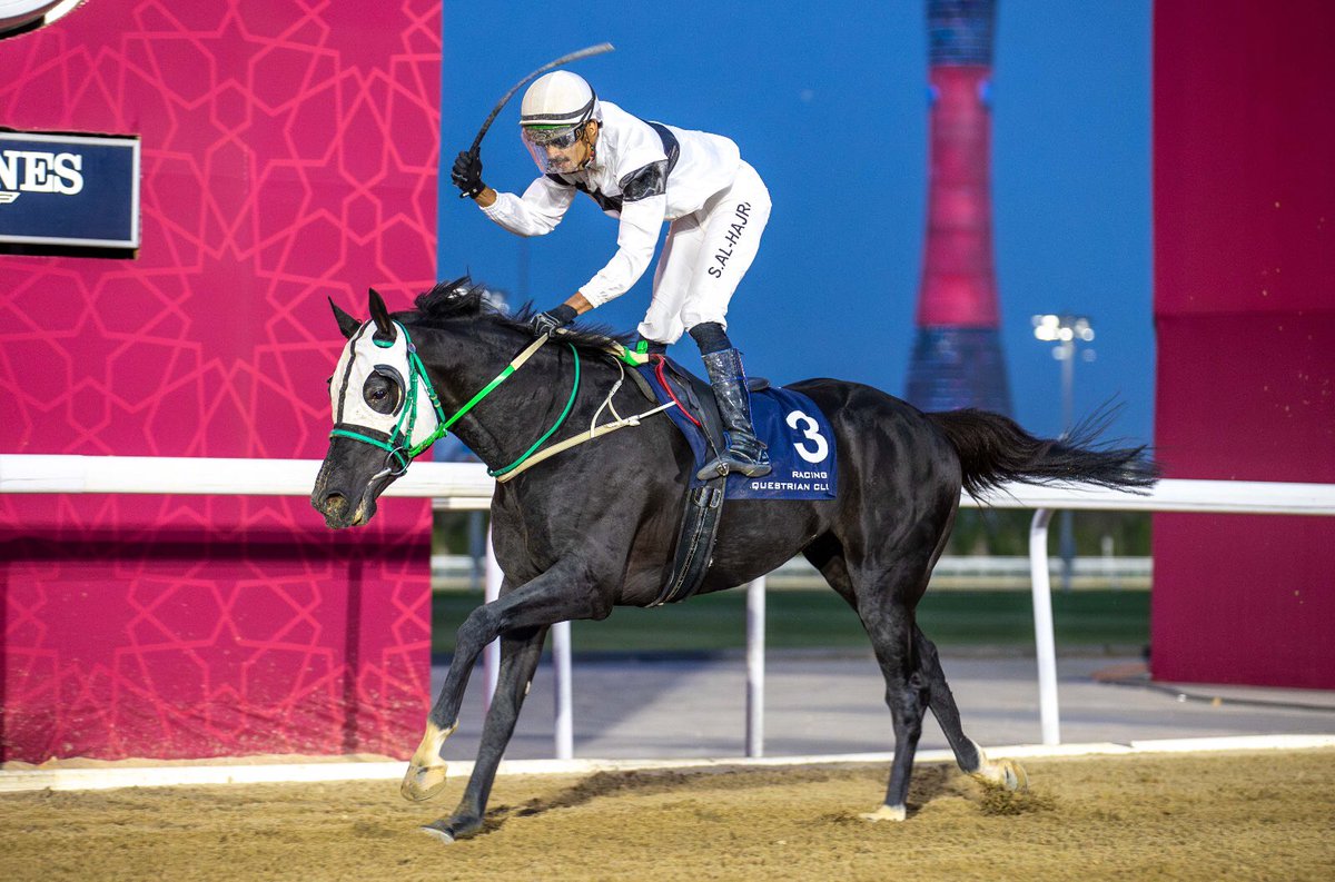 Debbie Mountain tweet media