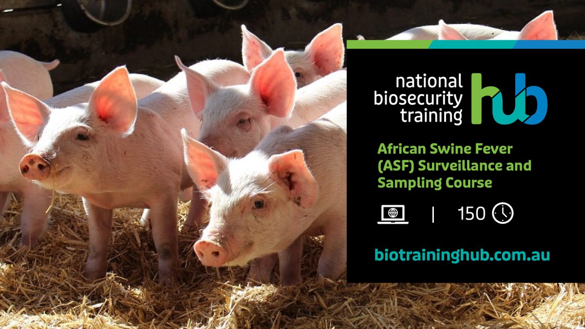 A free online course developed by @DAFQld & @AnimalhealthAUS provides anyone who interacts with domestic or feral pigs with info on surveillance & diagnostic sampling to help protect Australia from African swine fever (ASF). 👉shorturl.at/gkz24 #biotraininghub #biosecurity