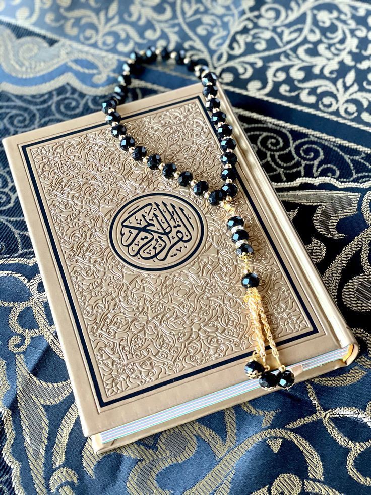 Assalamualaikum🧡

وَأَنْ لَّيْسَ لِلْإِنْسَانِ إِلَّا مَا سَعَى *❤️

اور یہ کہ انسان کو وہی ملتا ہے جس کی وہ کوشش کرتا ہے۔

Good_ Afternoon 🤍