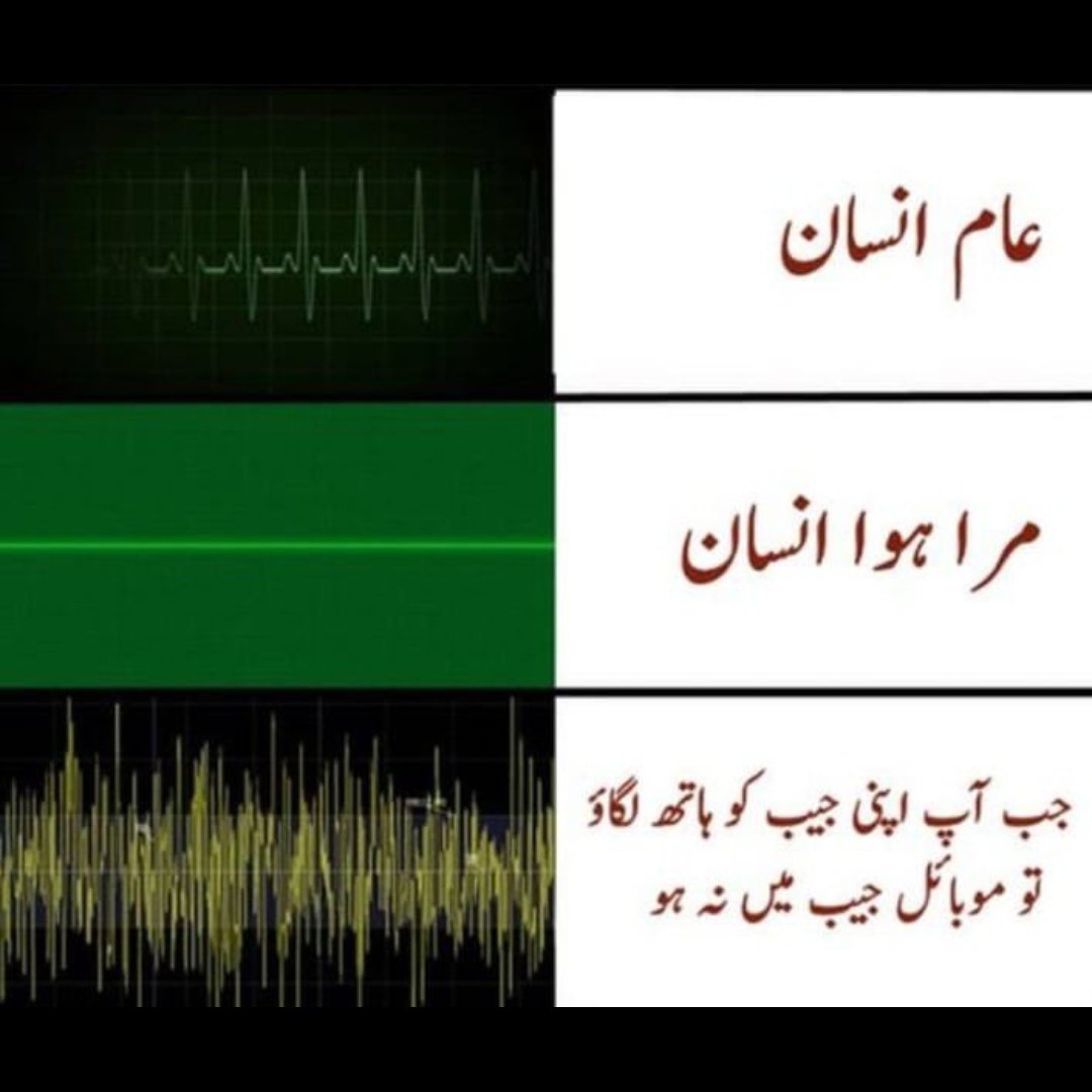 دل کی دھڑکن 
 Realty or not?????