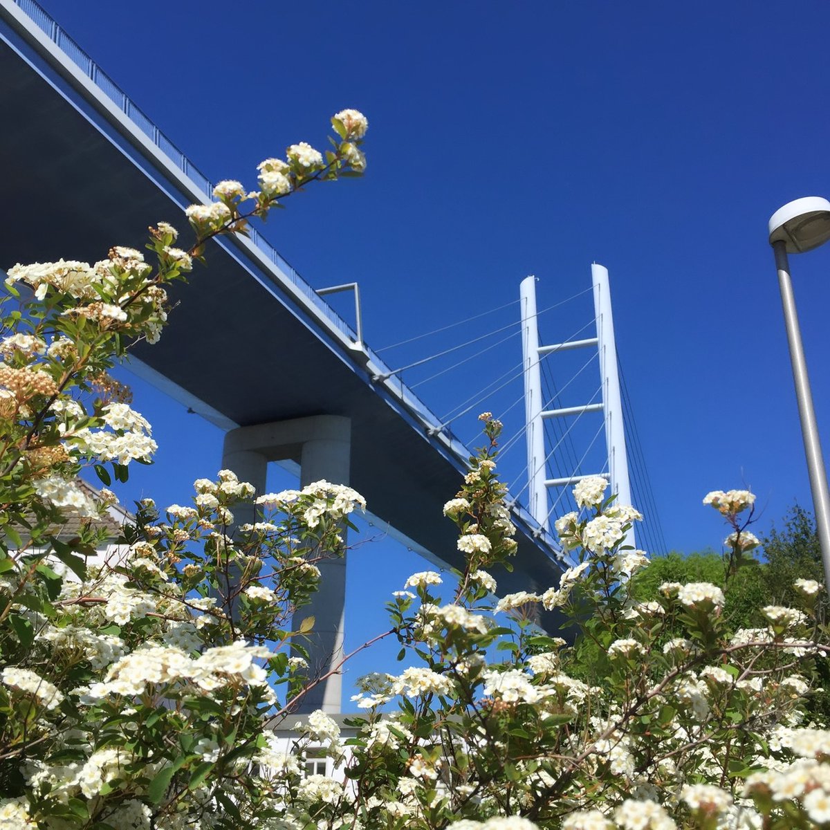 Die #rügenbrücke - eines der Wahrzeichen unserer schönen Hansestadt #stralsund