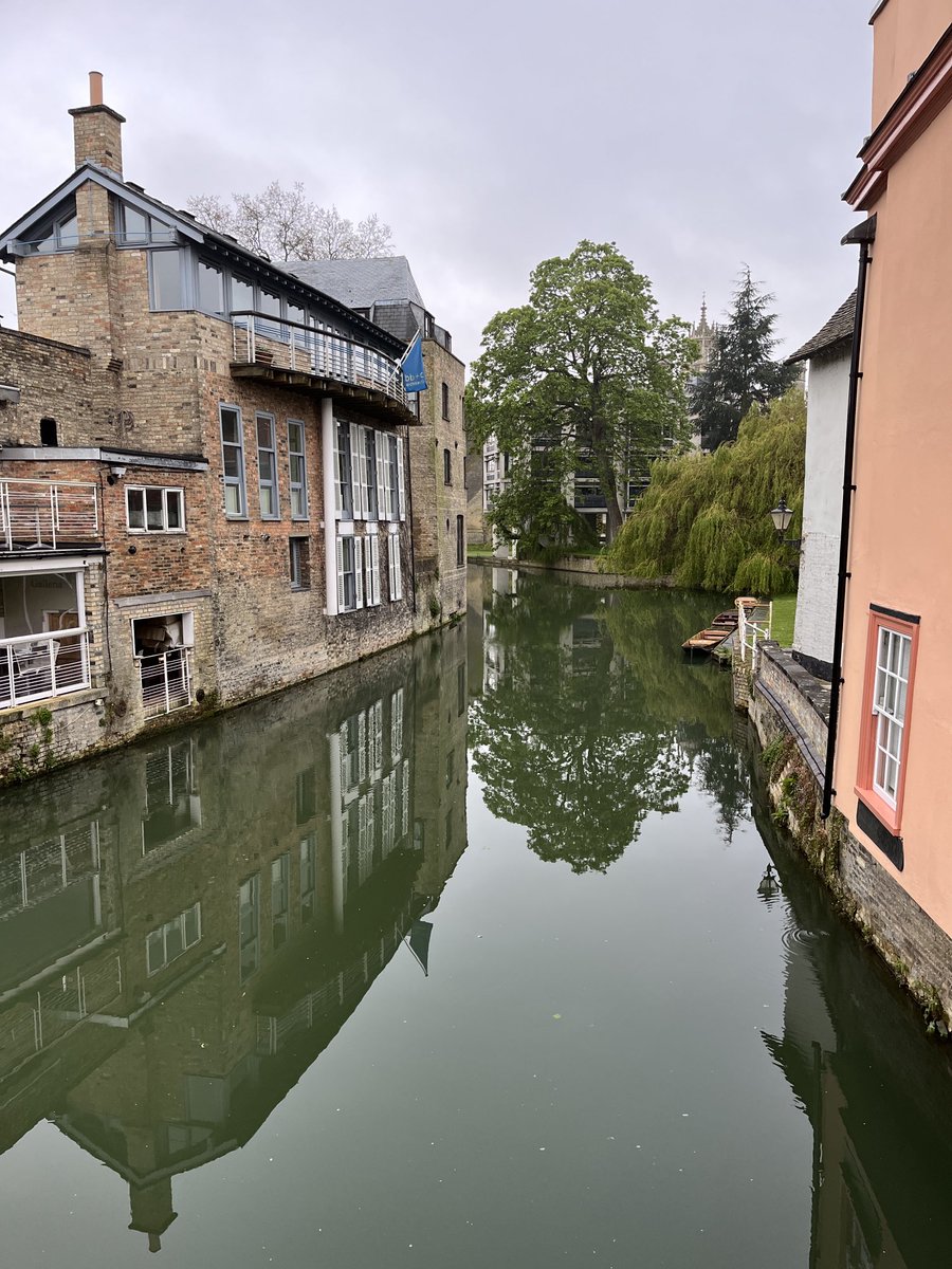 Cambridge 23 April 2024, 07:00, very humid, very cold, calm, 3.6 C