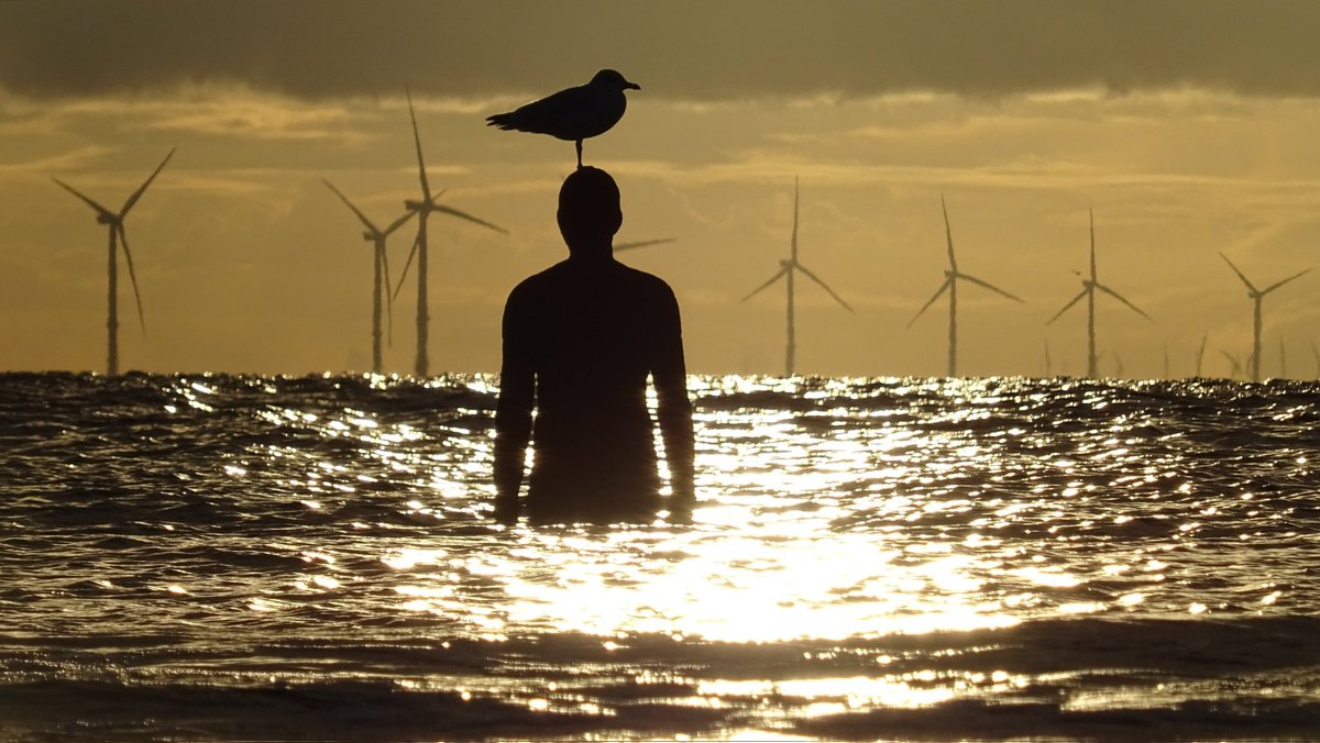 Yesterday was #EarthDay2024 but every day should be earth day🌍🙏 #EarthDayEveryDay Our oceans are a tell tale sign that climate change is stealthily creeping upon us...🌊🦅 Plastic pollution is threatening our wildlife without doubt... Make a change today...😉 @StormHour