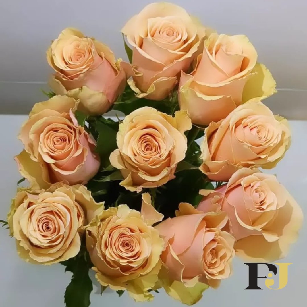 Today, we embrace the beauty of peach blossoms, just like we cherish each customer's unique journey with us. We appreciate you ❤️

Order these beautiful roses through marketing@pjdave.com or Call/WhatsApp +254 787 635 491 

#pinkpetals #peachperfection #picoftheday