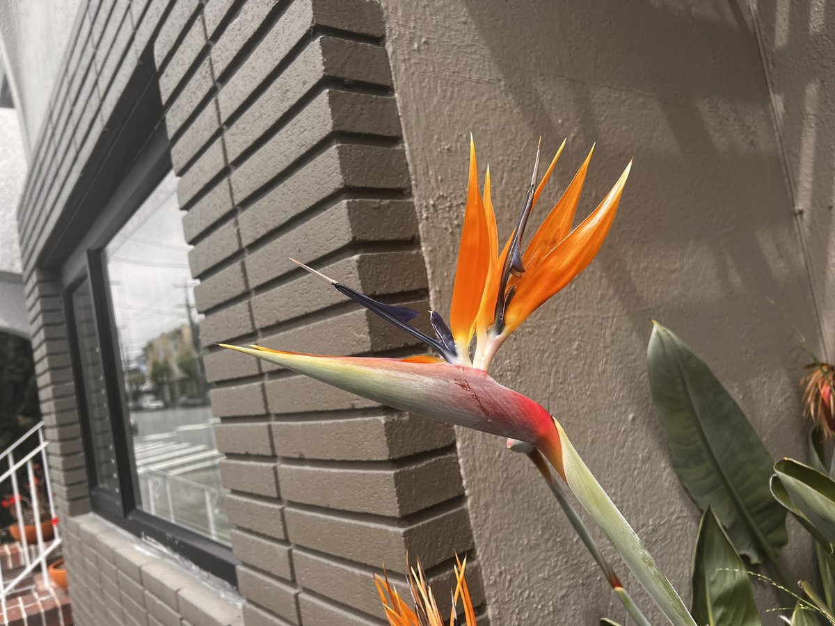 ozty2000's tweet image. 