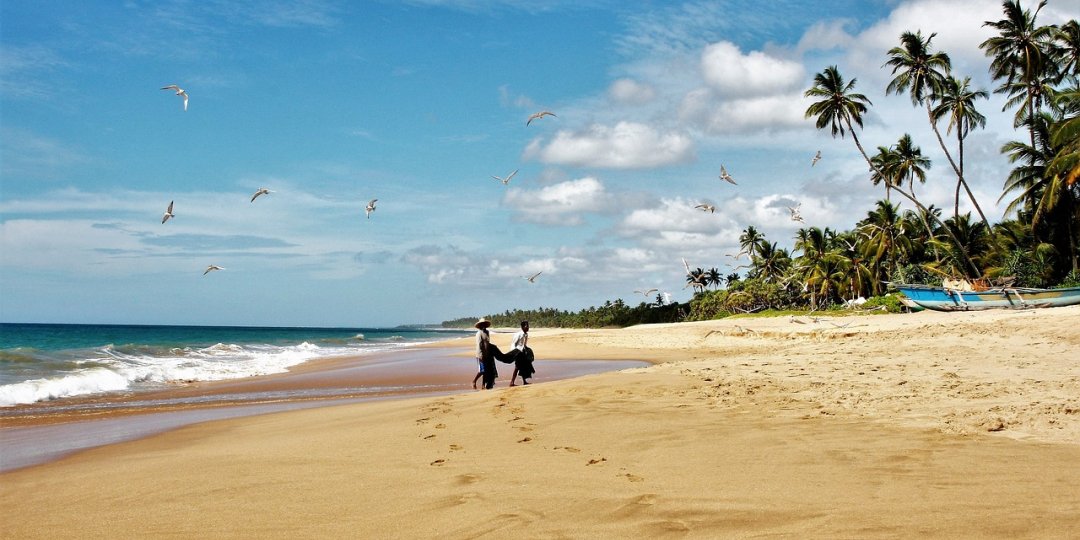 Sri Lanka has replaced its Electronic Travel Authorisation (ETA) system with a new eVisa system and a higher price tag.

The price for a standard tourist visa has increased by 50%, from US$50 (R955) to $75 (R1 430).