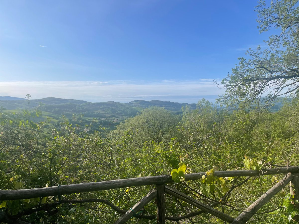 PianoFan2's tweet photo. Another beautiful morning at our Hill in Italy 🇮🇹 

Added yesterday and today some more $GLN shares. 

Remembers me on the good $NLC days when nobody wanted to buy it at 0.395 CAD ☺️🤩 https://t.co/BYXzOj95Bs