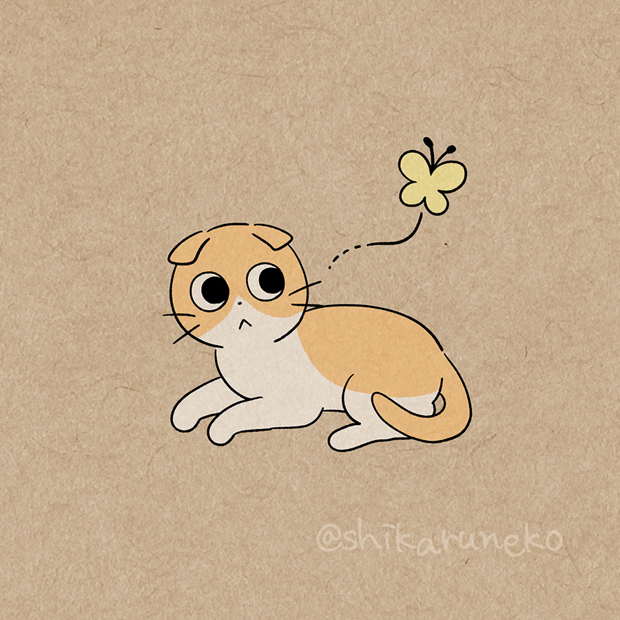 春の陽気と、うれうねこと、ながめるねこ 