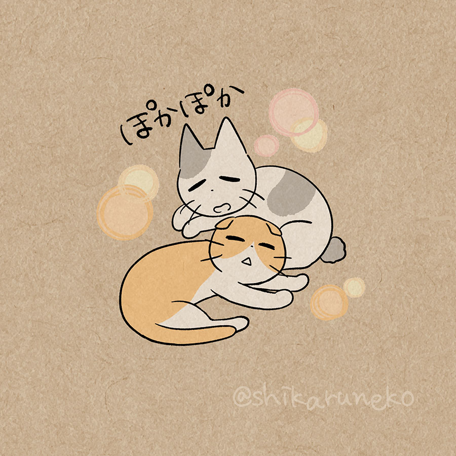 春の陽気と、うれうねこと、ながめるねこ 
