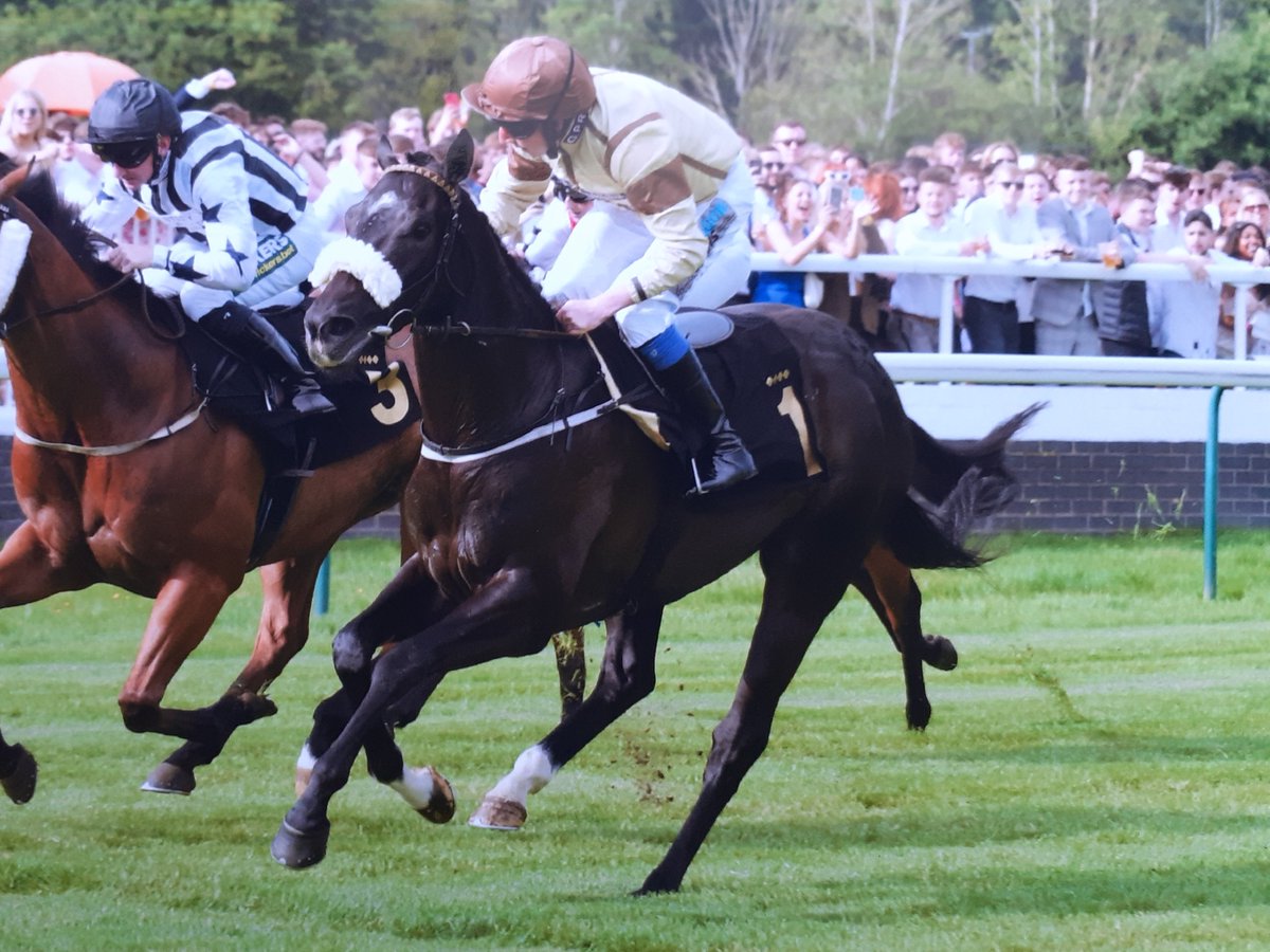 1 runner today with our @RuthCarr1 trained JOJO RABBIT running in the 2.10 @EpsomRacecourse & @james33837096 takes the ride.

Good Luck To All Connections🏇🏇🏇🤞🤞🤞

#fingerscrossed @RSAsyndicates @GParkRacing #racehorseownership #syndicates #HorseRacing #sports