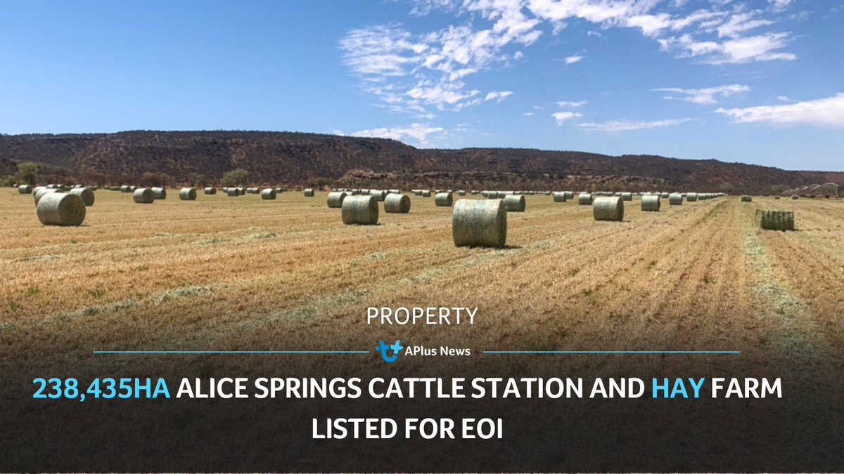 This week's Property Roundup with Alex McLaughlin. READ ARTICLE: pulse.auctionsplus.com.au/aplus-news/pro…