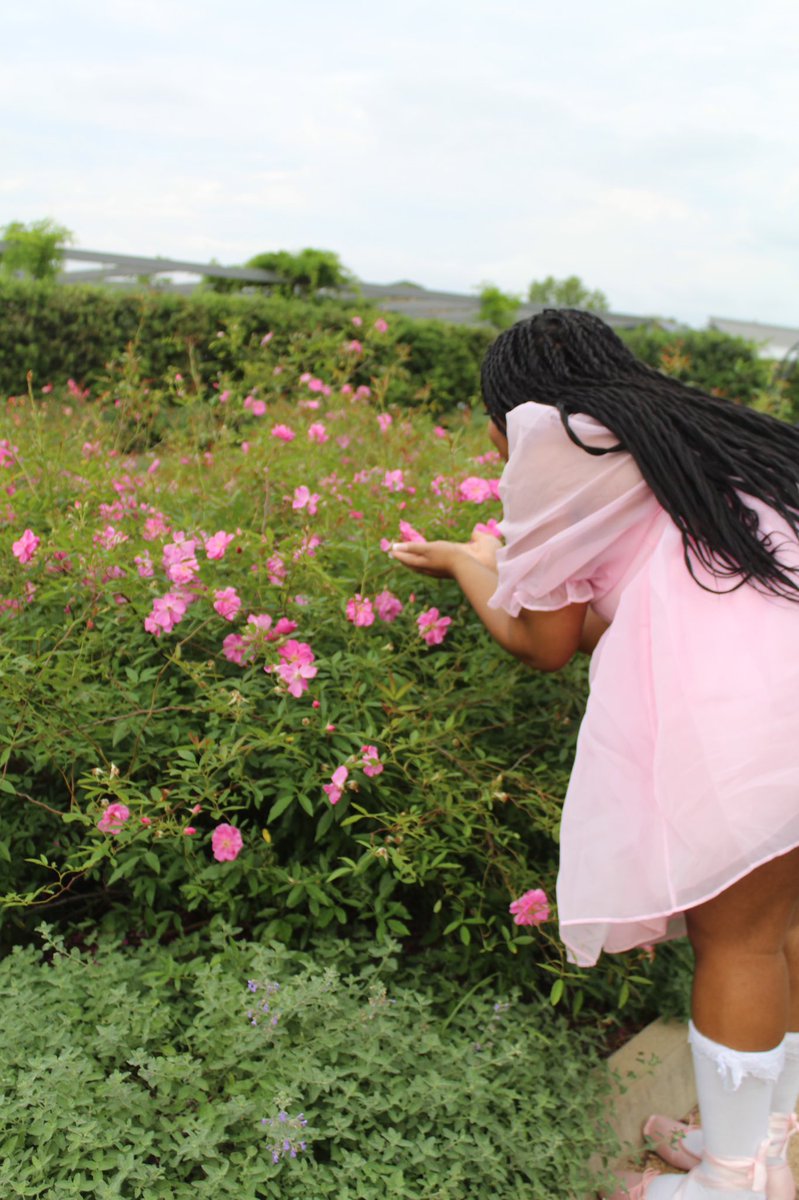 miahscot's tweet photo. It was a fairy💕💐🌸🌹🌷 https://t.co/DsDIhgKYCc