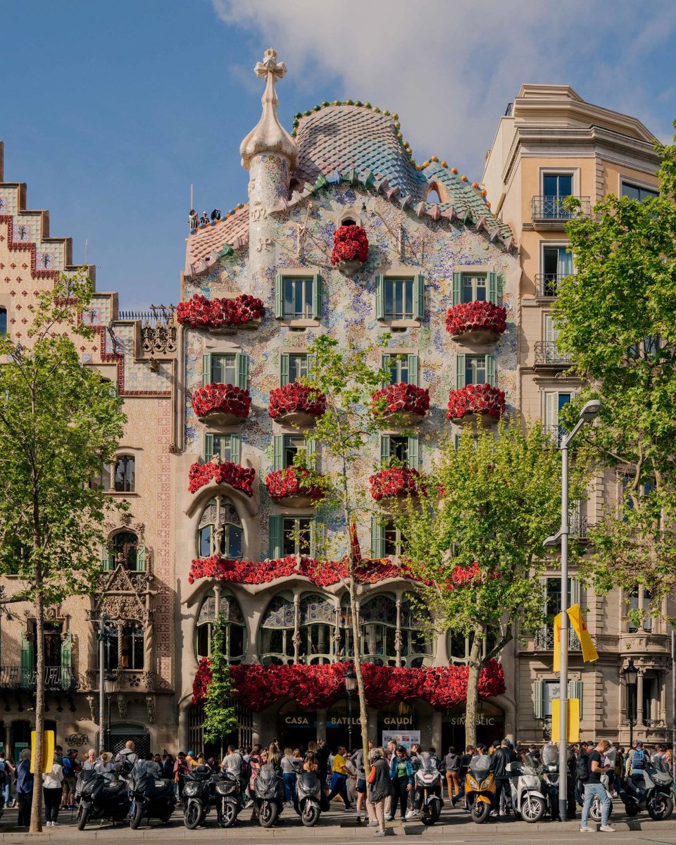 Una imatge val més que mil paraules; Feliç Diada de Sant Jordi🌹📖🐉 #SantJordi2024 #CasaBatllo