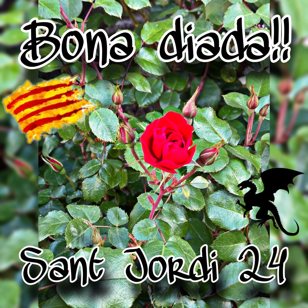 Feliç diada!! #SantJordi2024 🌹📚🐉🌹📚🐉🌹📚🐉🌹📚🐉🌹📚🐉