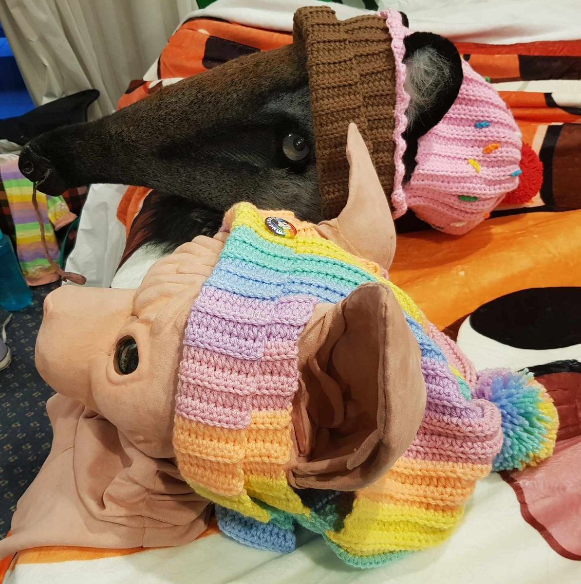 <a href="/FurryBeaniac/">BEAN!AC</a> <a href="/FurDUcon/">FurDU</a> <a href="/Aurawra_con/">Aurawra</a> So excited! Absolutely love the beanies we were able to get at Furdu!! 🩵⭐️