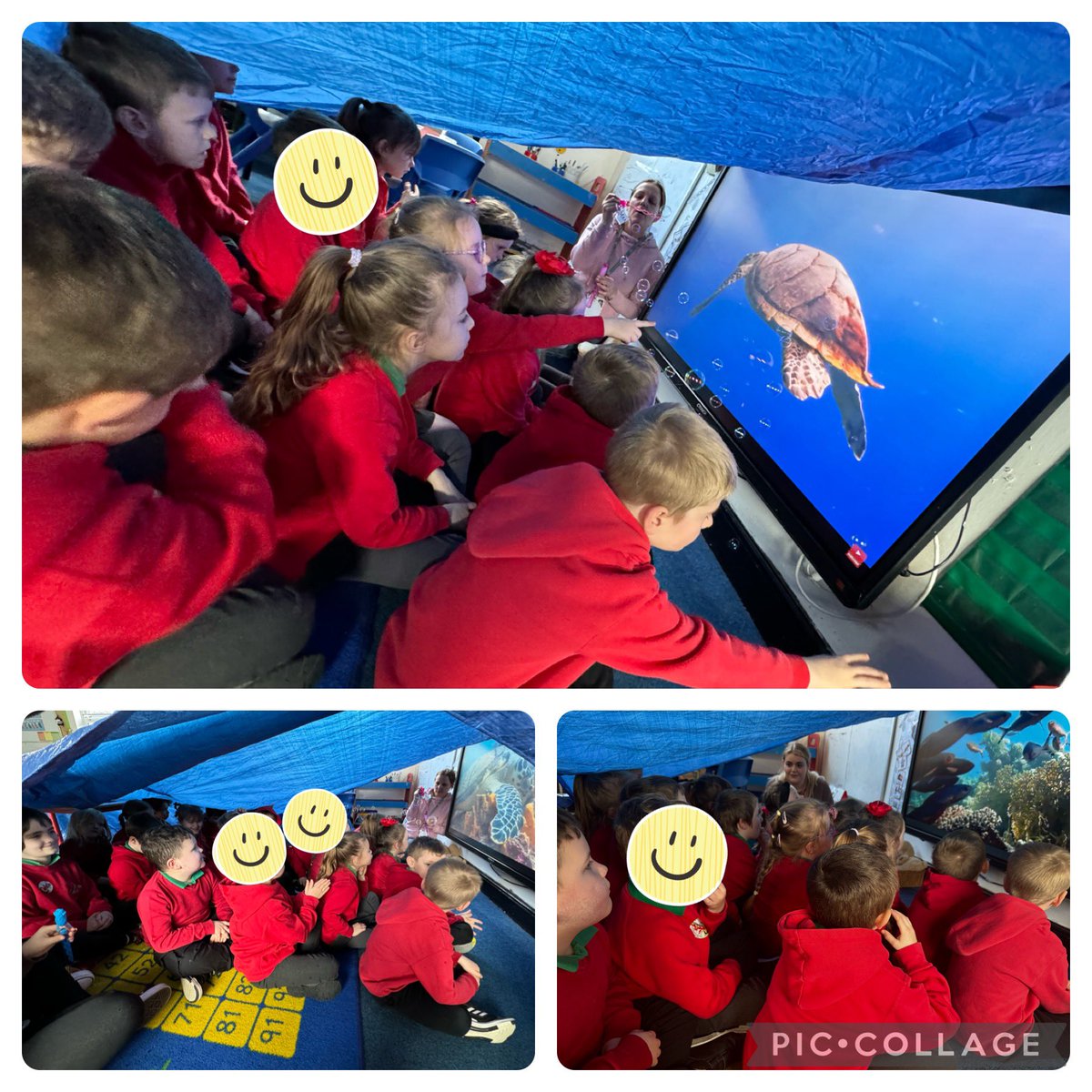 IA 3.1 Dosbarth Palm’s big question is ‘How can we look after God’s creatures?’ They enjoyed their virtual trip under the sea - splashes of water and lots of bubbles whilst watching a video 🌊🐠🐬🫧 @LlandaffDio @CSC_Wellbeing @CSC_SciTech