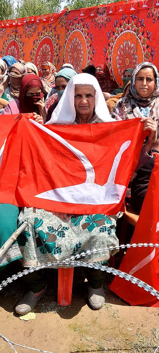 An elderly lady holds @JKNC_ flag during the workers convention in Pulwama Pic @MirArshidHussa5