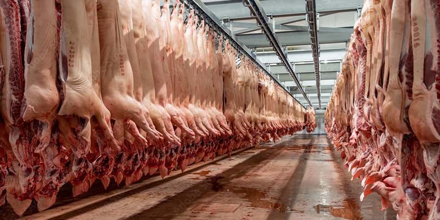 China's quarterly pork output declines for first time in nearly four years: efeedlink.com/contents/04-18…

#china #porkproduction #pigfarming #swine #livestock #livestockfarming