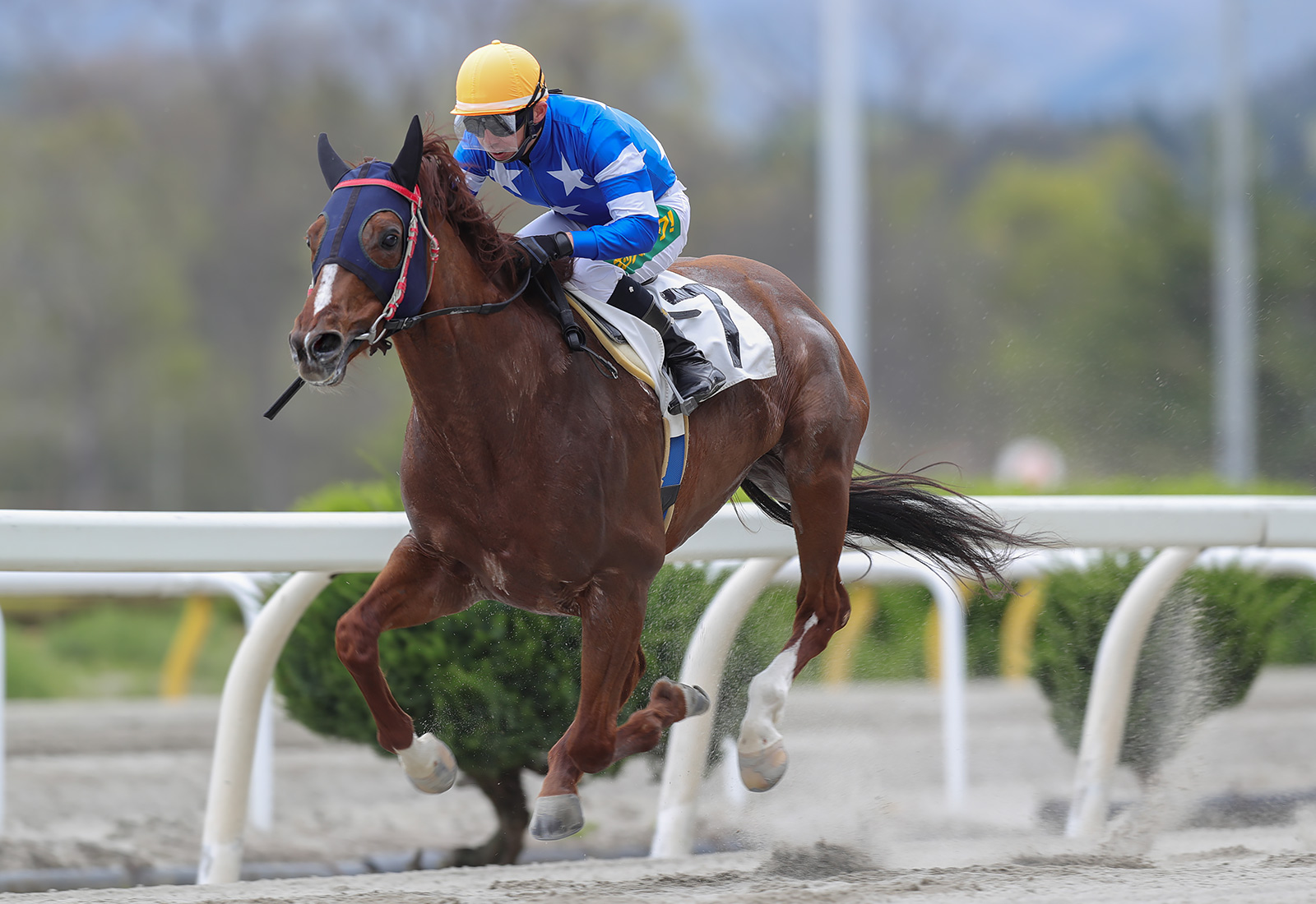 64807/真光寺豪が教える全自動競馬利殖ソフト 「うまロボ君」の