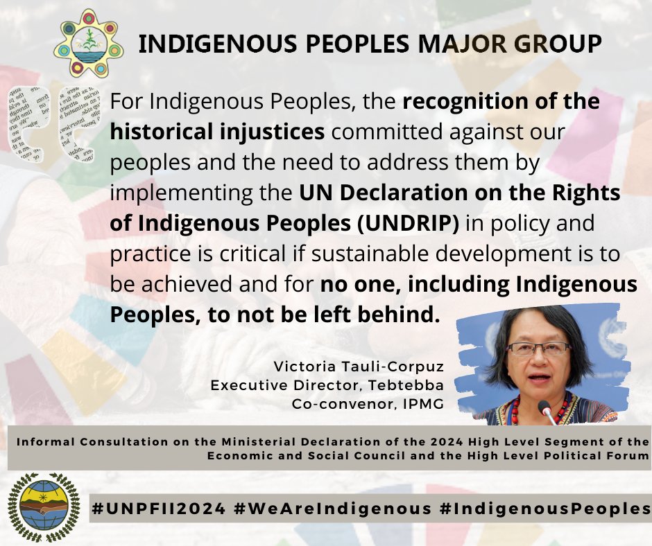 #UNPFII2024 | Statement during the Informal Consultation on the Ministerial Declaration of the 2024 High Level Segment of the ECOSOC and the HLPF delivered by the Executive Director of @tebtebba, Victoria Tauli-Corpuz. Read the full Statement here: bit.ly/49N6MjG