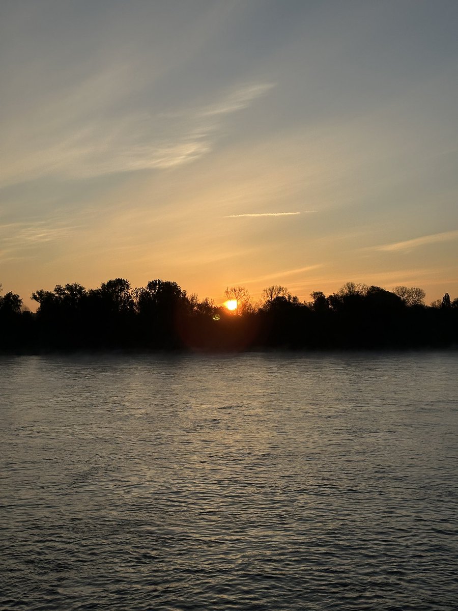 aliabdallahx's tweet photo. How to win in the game of life:

1. Realize it‘s all inside out
2. Read the above again
3. Now go out and win

P.S. My secret weapon is the sunrise. Happy to share it with you. https://t.co/ZYhGWLuMe8