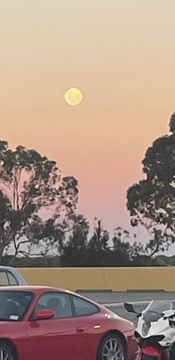 MsMassage1's tweet photo. Fly me to the moon and back...
Beautiful moon over the bay tonight
#MtMaunganui
#BayOfPlenty https://t.co/WJEumVwZxv