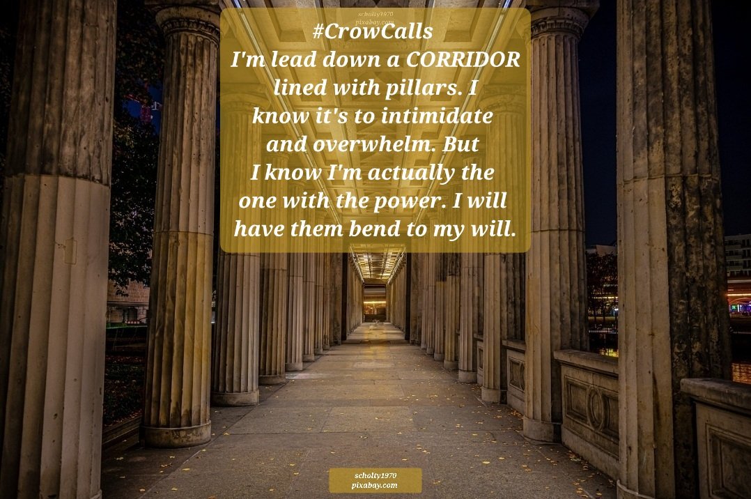 #CrowCalls 
I'm lead down a CORRIDOR lined with pillars. I know it's to intimidate and overwhelm. But I know I'm actually the one with the power. I will have them bend to my will.
scholty1970 pixabay.com 
(Antagonist in the Teragene Chronicles)