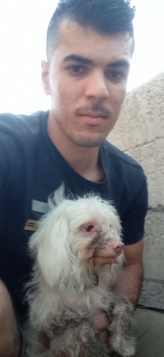 loverAnimalBest's tweet photo. Hello my friends, here in Gaza there are difficult and scary days due to the war and the siege on our people. Thank you to the friends who helped me and I thank you friends who helped us in Gaza.
https://t.co/9kcF4vXWsF… https://t.co/yBL16rRiVq