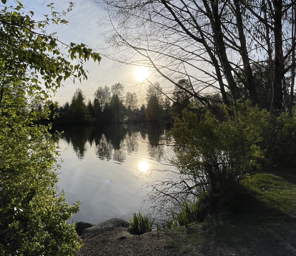 Como Lake, Coquitlam BC today. Still exploring…