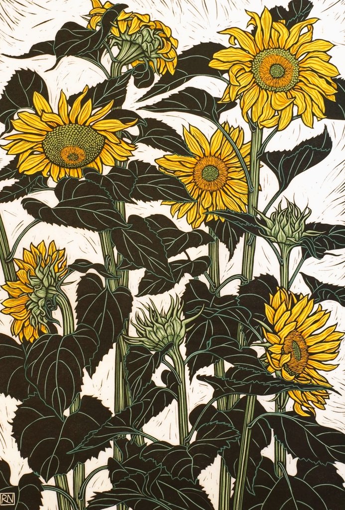 'Sunflowers Newport' by Australian printmaker Rachel Newling #WomensArt