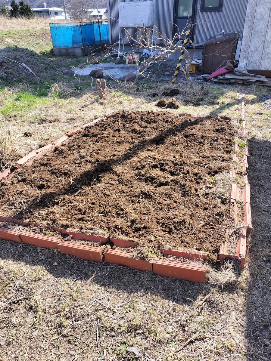 ともすずか tweet media