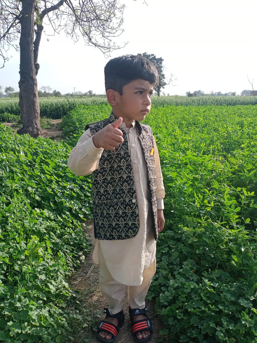 AdvKashif1's tweet photo. My son https://t.co/eH3TC3iVcz