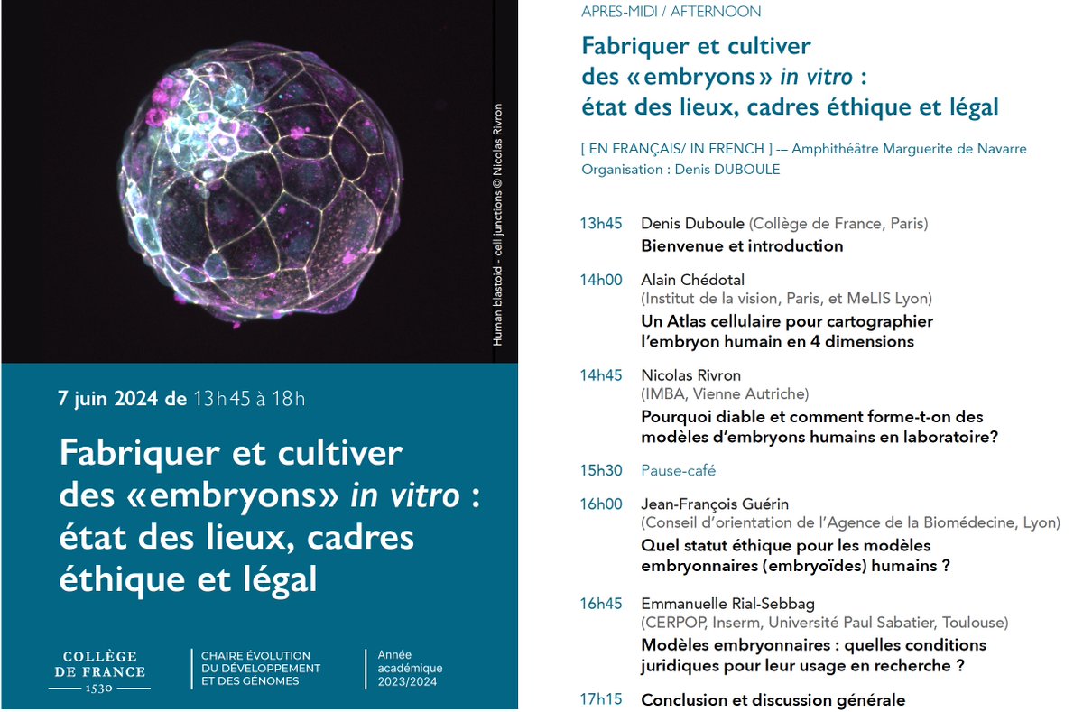 Save the date! June 7th @cdf1530 in Paris, the latest developments in the making of human pseudo-embryos in vitro🤘Open access👍 no registration 🙏RT @AMartinezArias @jacob_hanna @NRivron @nmoris @AlainChedotal @TreutleinLab #JFGuerin #ERialSebbag @the_Node