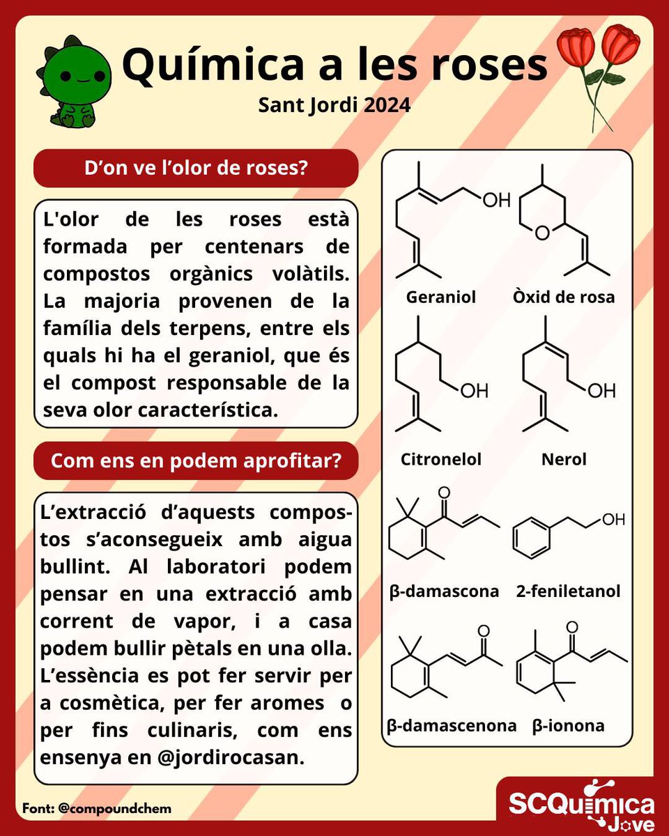 scqjove's tweet photo. La química està a tot arreu, fins i tot a les roses🌹. Aquesta olor tant característica i dolça la formen una barreja de terpens els quals s’extreuen dels pètals i es posen a les fragàncies, cosmètics i fins i tot al menjar.

Que tingueu una feliç Diada de Sant Jordi📚🌹🐉 https://t.co/WewclYU1VX