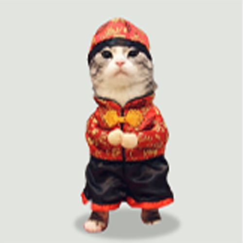 BaoCatSol's tweet photo. We are live.
-
我们是现场直播

$BAO

https://t.co/xUW23vMtN0 https://t.co/4In5PhkLBh