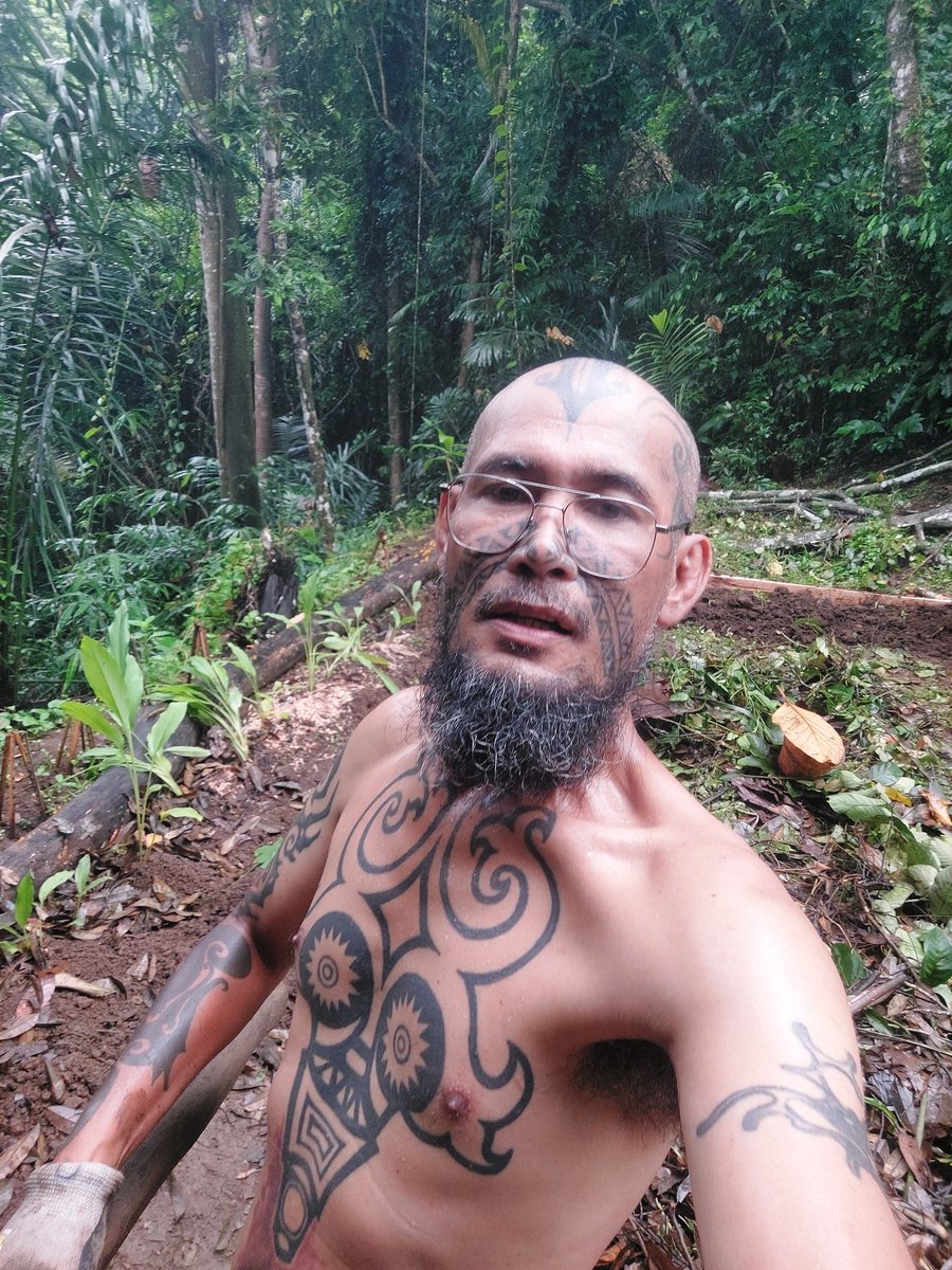 Berkebun di tengah rimba yg tersisa