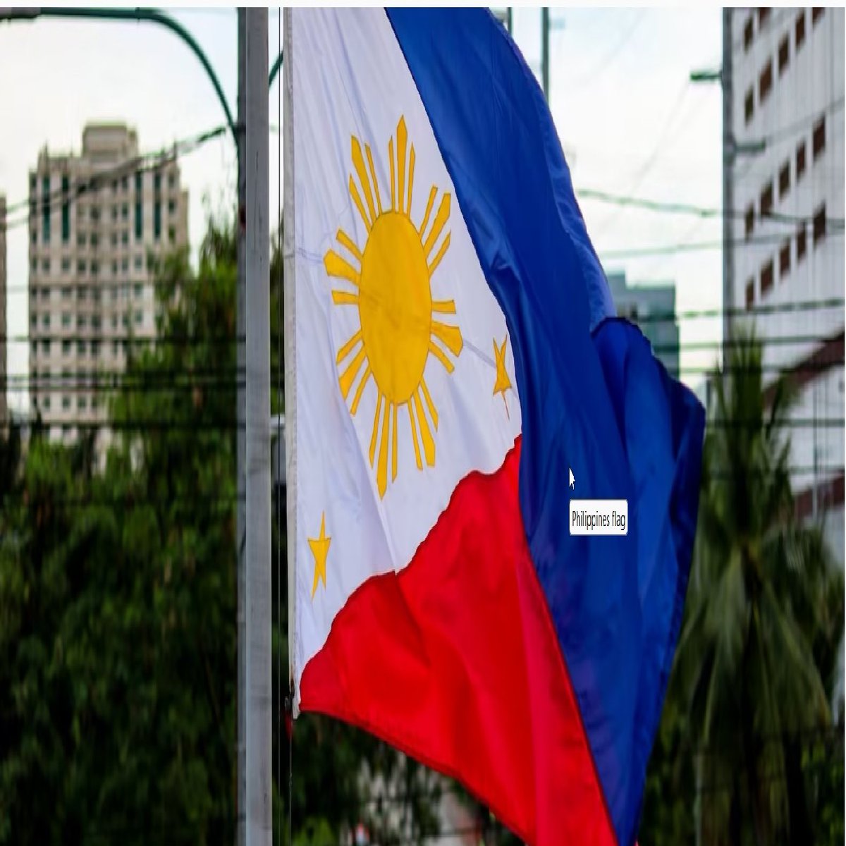 joybells49's tweet image. Answering the Call: Proclaiming Hope in the Philippines [zurl.co/tnD3] Join us in sharing the message of salvation across the Philippines and Asia. Together, we can make a difference. #SpreadTheGospel #MissionaryWork #PhilippinesMission