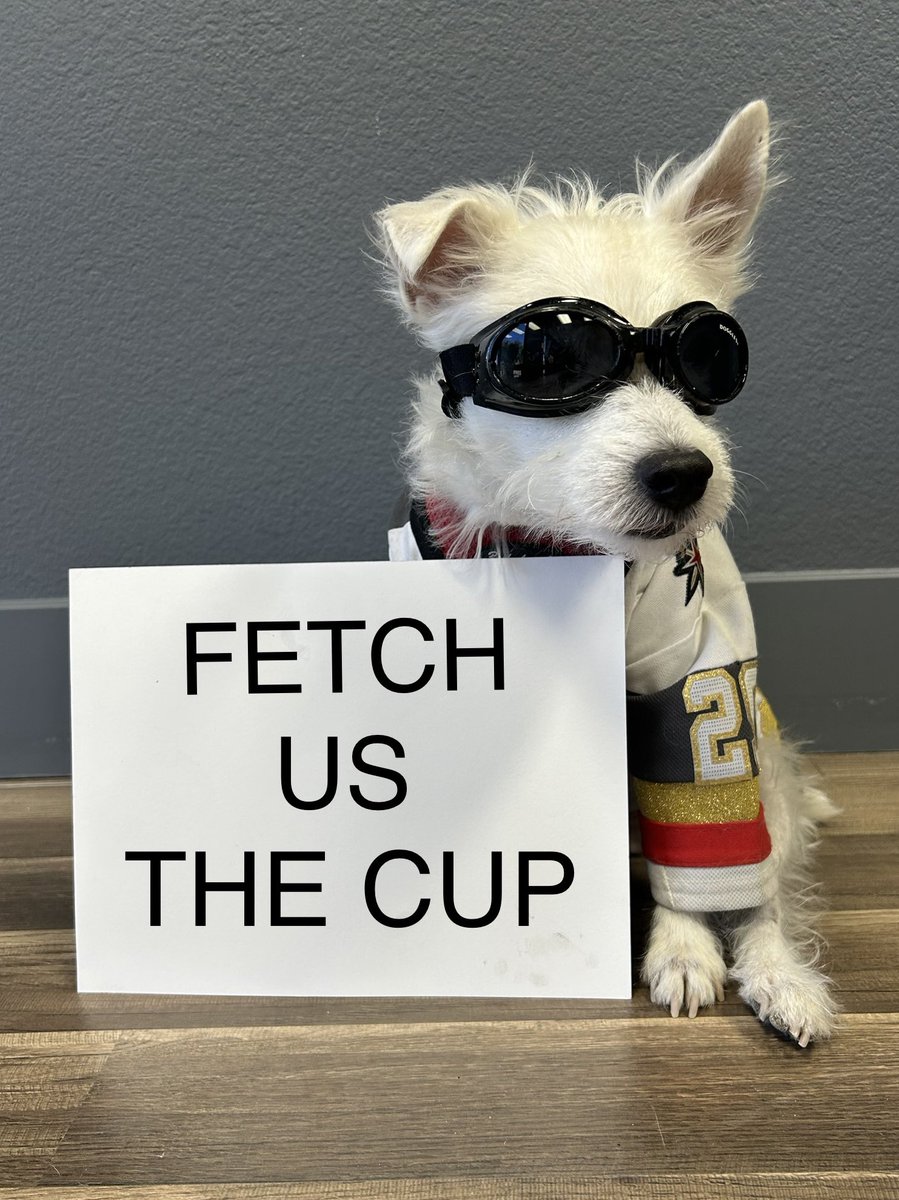 LVVHumane's tweet photo. Tonight we are remembering the very good boy, @BarkAndreFurry, as we cheer on our beloved @GoldenKnights! 💛⚔️🖤

Vegas, are you and your pets ready for Game 1? Show us your pics!

#GoKnightsGo 
#VegasBorn
#StanleyCupPlayoffs 
#HockeyPets https://t.co/vfyR7EbUpi