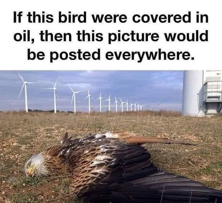 museumsireland's tweet photo. @RTEUpfront @KatieGHannon The #ClimateScam has a deleterious effect on far more than just Humans..

#GreenPrivilege 
#Agenda2030 
#FtheWEF 
#BigClimate 
#ClimateIndustrialComplex https://t.co/se4weJdWQV