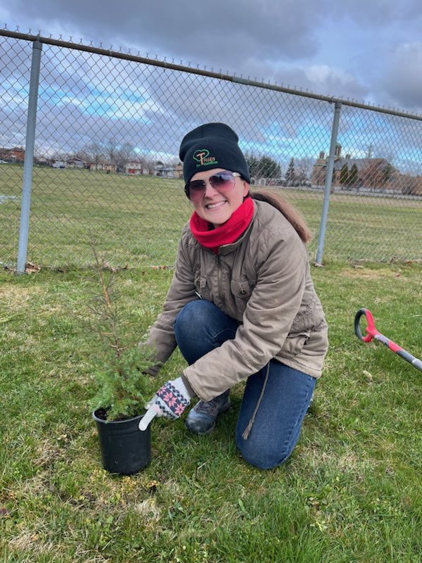 Trees for Hamilton tweet media