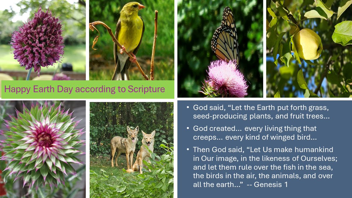 KitMinistries's tweet photo. Photos from our backyard. #EarthDay #earthpix #earthday #earthfocus #scenery #scenery #sceneryshots #scenerylovers #sceneryphotography #earth #Genesis #scriptures #scriptureoftheday #scripture #Creation #creation #création #SDG #Shalom #Selah #AndAmen https://t.co/FNdTwhkSaW