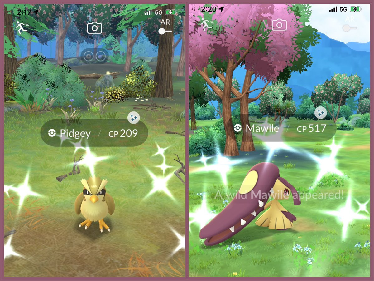 💖✨💖 New-background sparkles! 💖✨💖

Shinies are always a treat but the new background makes them look so much more special 😍

#PokemonGO #ShinyPokemon #SustainabilityWeek #ShinyCheck