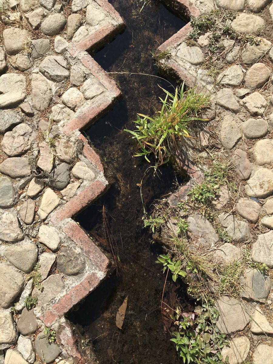 Canal de agua en el Centro de las Artes de San Agustin Etla #Oaxaca