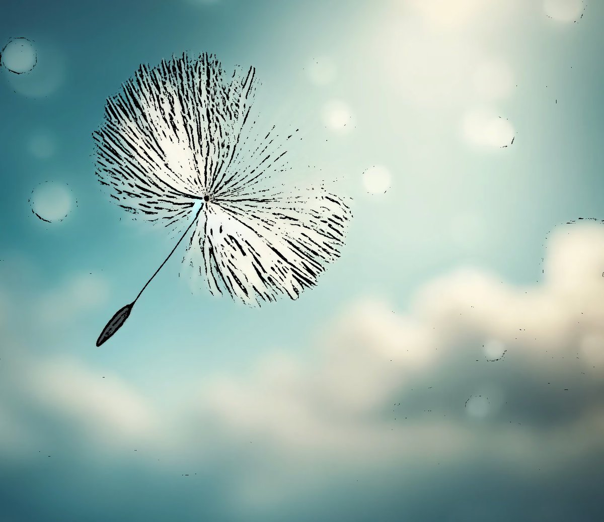 kosiew's tweet photo. A seed in the breeze, 
Carrying dreams skyward— 
Horizons of light.
#Hope #haiku #poetrylovers https://t.co/WxDjqUZkFo