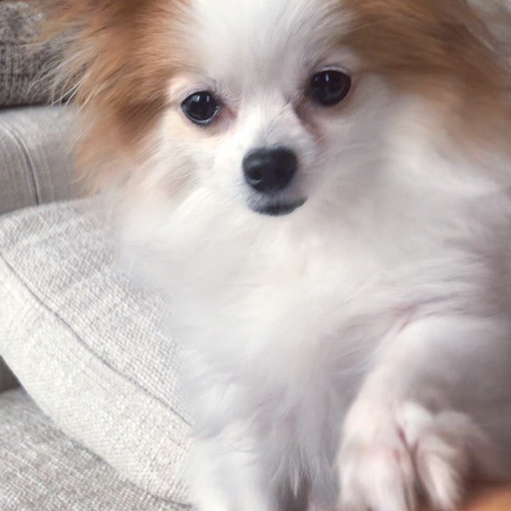 #At home on rainy days.